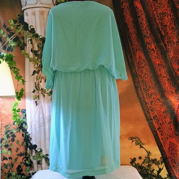 EUC: Shelby & Palmer Sze 22W Mint Green Chiffon Dress - Picture 2 of 6